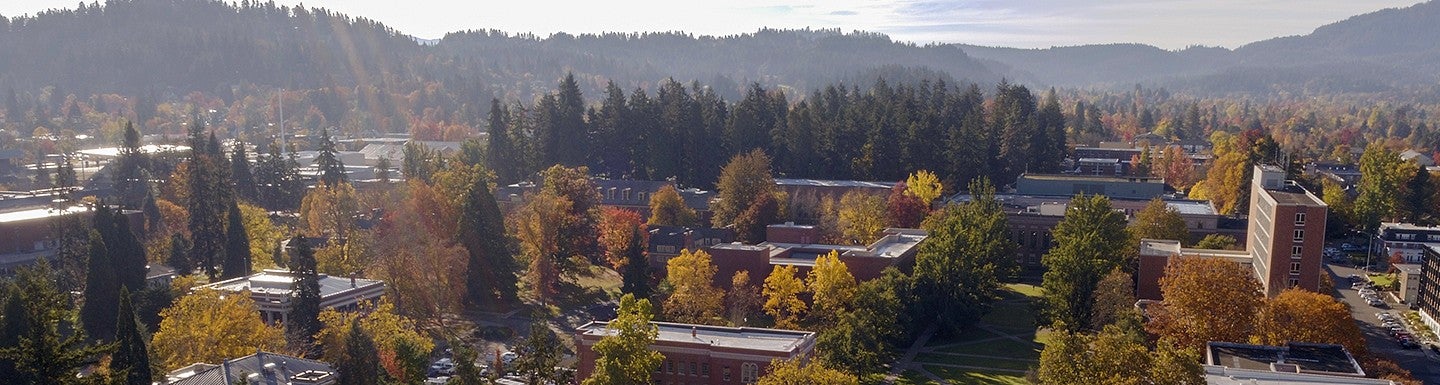 Aerial photo of the Lillis Business Complex