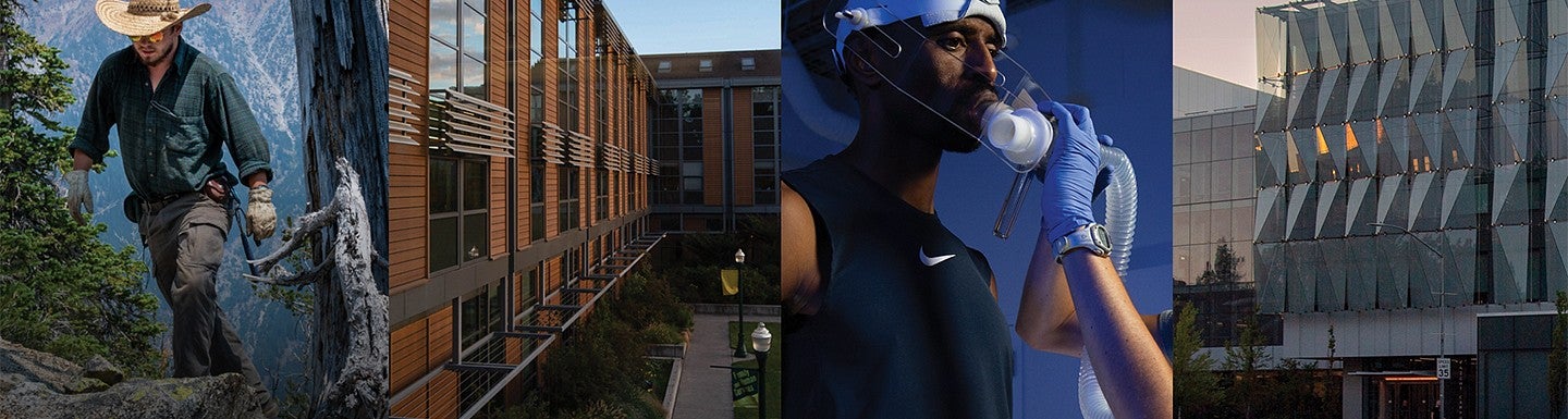 Collage of a hiker, the College of Education, a runner on a treadmill, and the Knight Campus